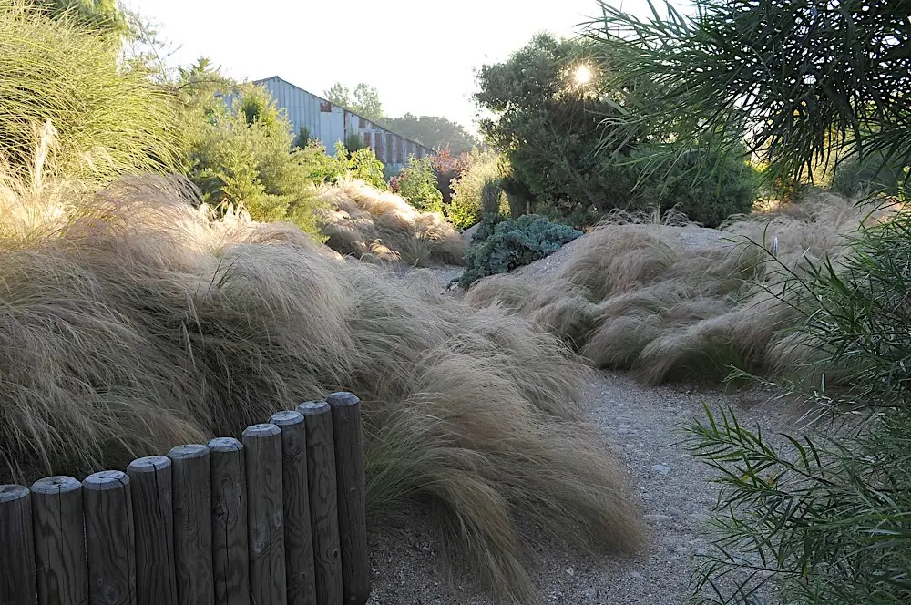 Sandweg zwischen bepflanzten Dünen