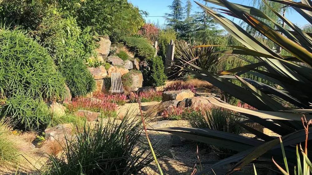 Grindtuin met phormiums en aloë's