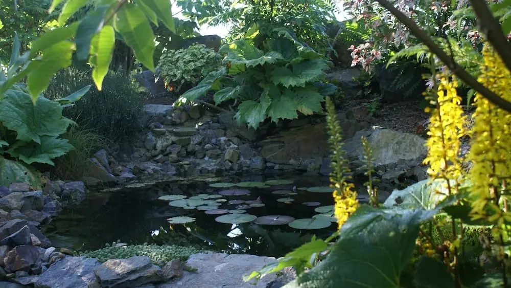 Holzsteg über den Teich